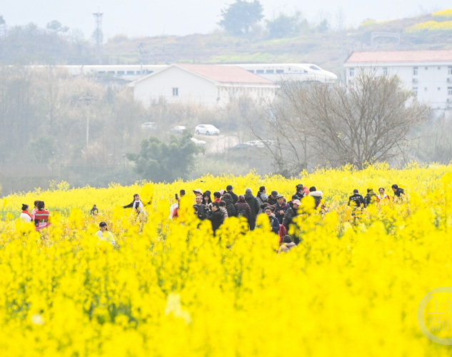 公司組織全體員工春游團(tuán)建活動(dòng)